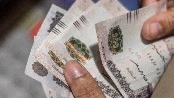 مرتبات شهر نوفمبر