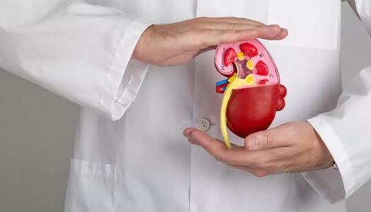 دراسة تظهر ارتفاعًا قياسيًا في انخفاض وظائف الكلى بجميع أنحاء العالم