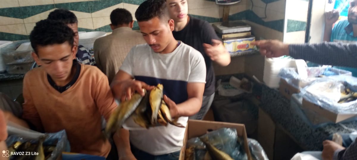 إقبال غير مسبوق على أسواق الرنجة والفسيخ والسردين بالفيوم