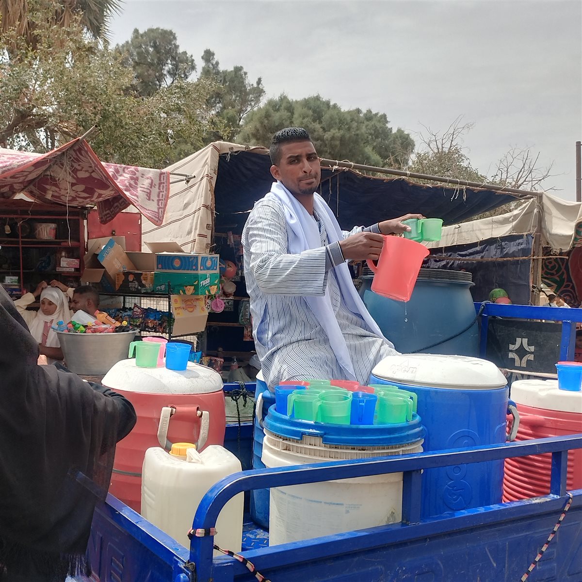 الشاب القناوي