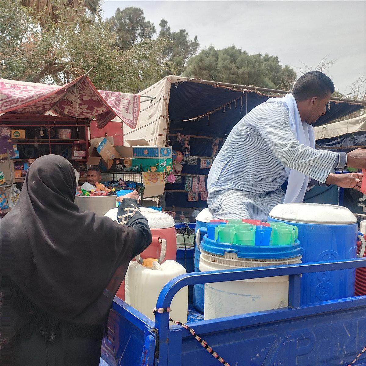 الشاب القناوي