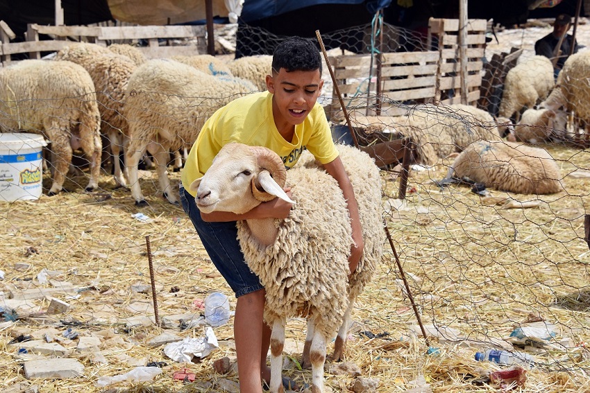 وقفة عيد الأضحى المبارك