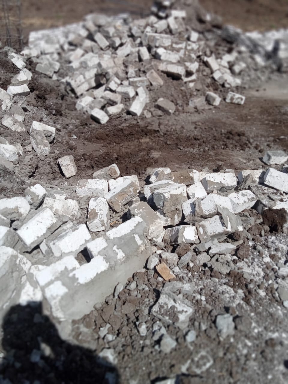 IMG-20250403-WA0198