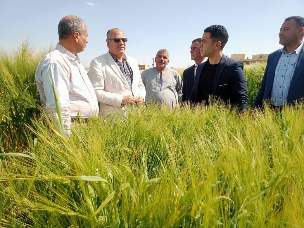رئيس مركز البحوث الزراعية