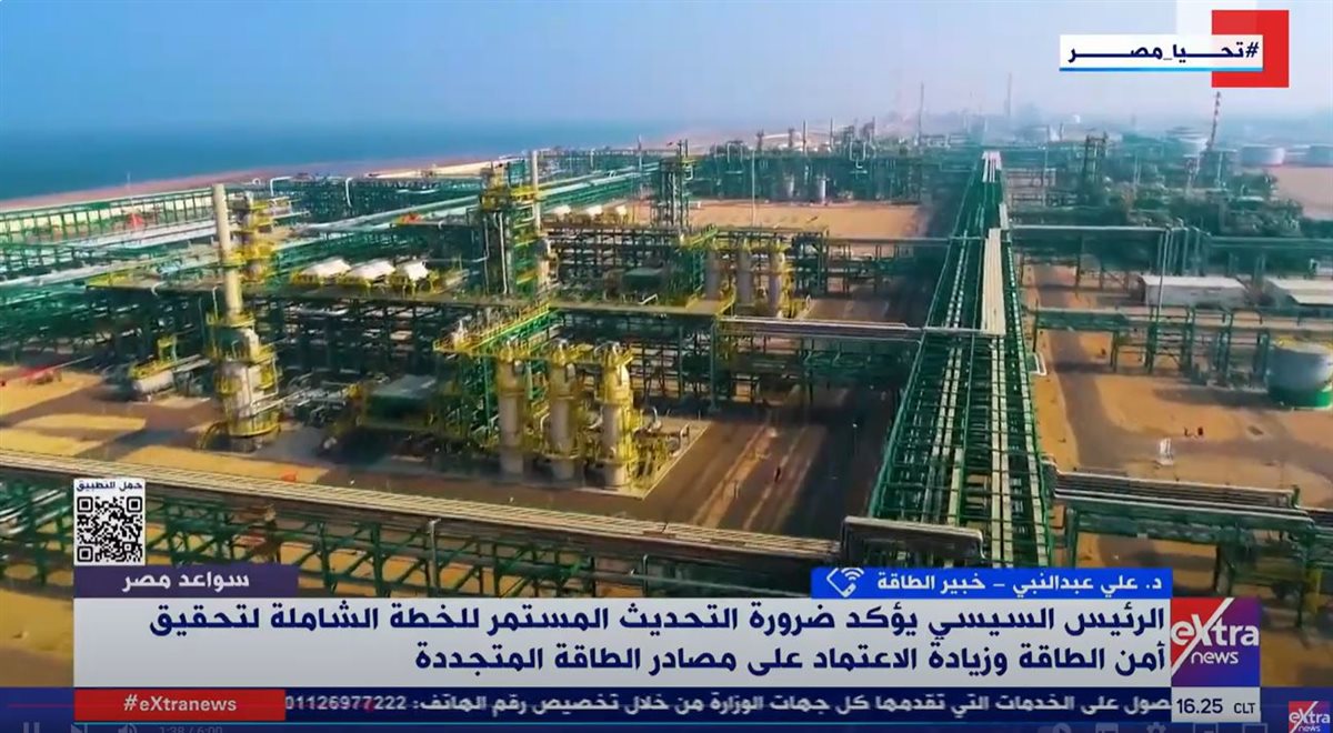 مداخلة الدكتور على عبد النبي