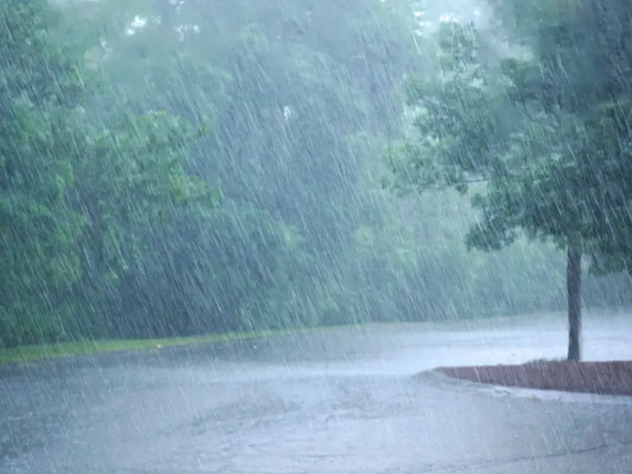 حالة الطقس اليوم