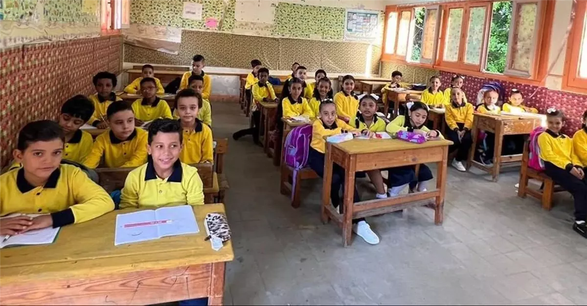 التقييمات الأسبوعية