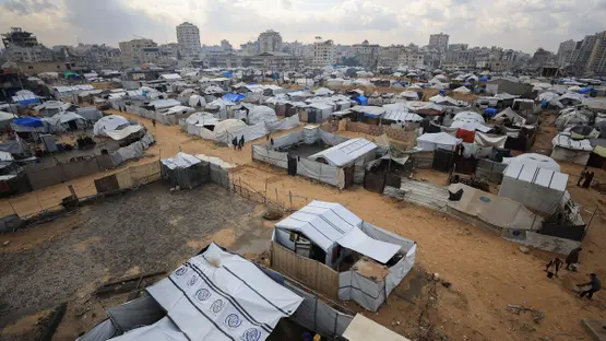 <strong>غزة</strong>