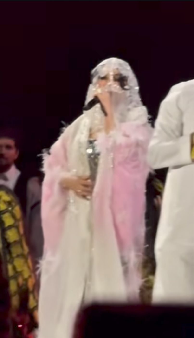 هيفاء وهبي في حفلها بالسعودية