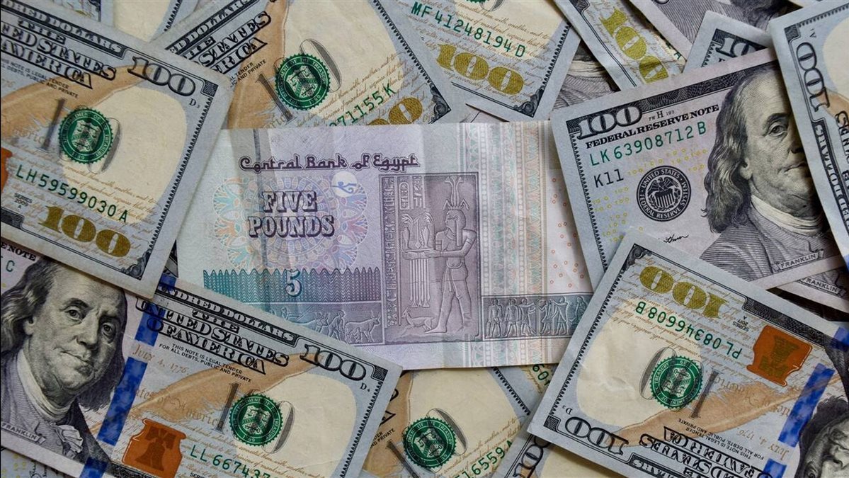 سعر الدولار اليوم
