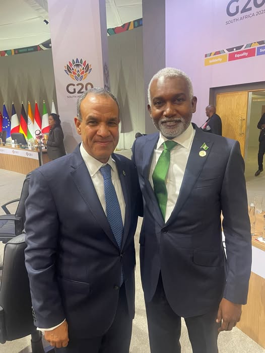 <strong>وزير الخارجية ونظيره النيجيري</strong>