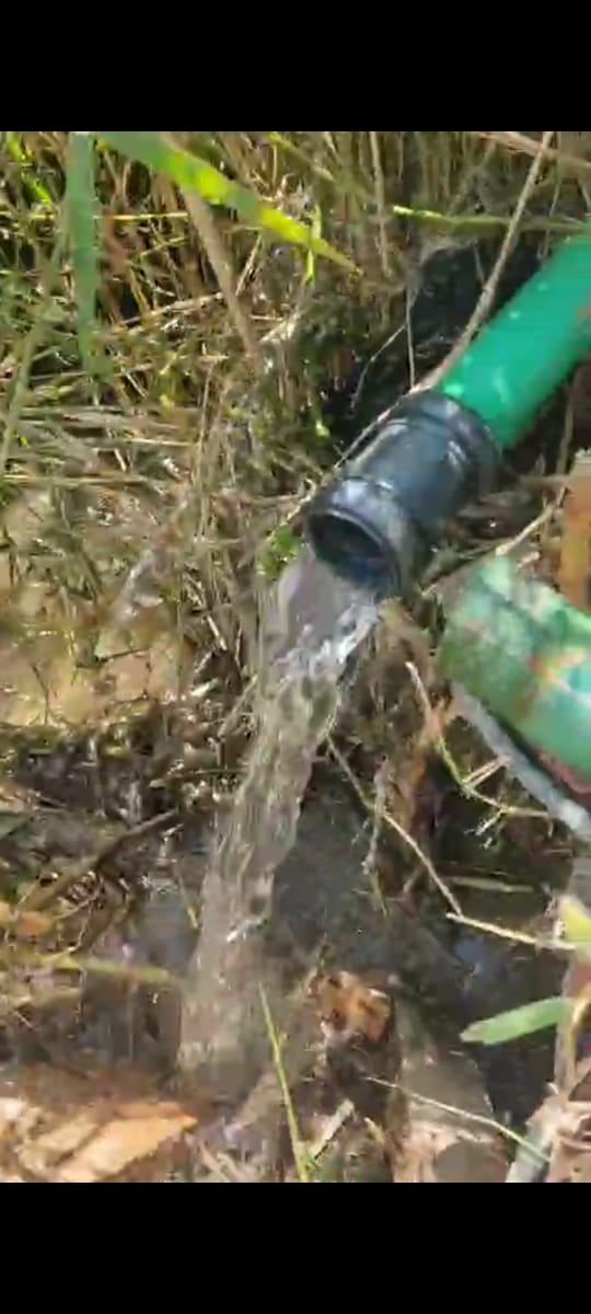 مياه الفيوم: ضبط وإزالة 1752 وصلة مياه غير قانونية واتخاذ إجراءات فورية ضد المخالفين