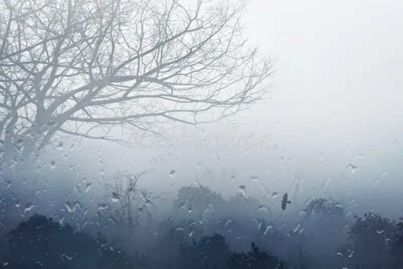 حالة الطقس غدا في مصر