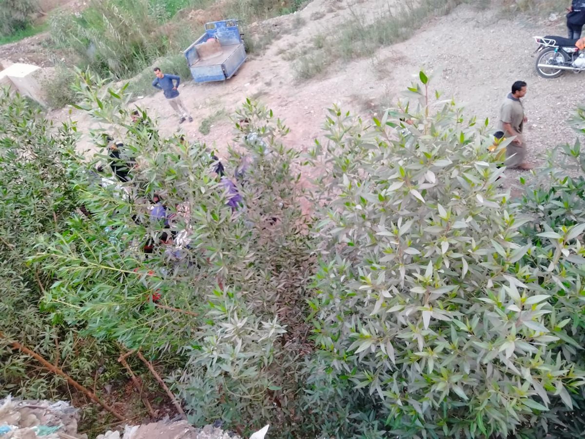 حادث بطريق دمو… إصابة شخصين في انقلاب تروسيكل بالفيوم