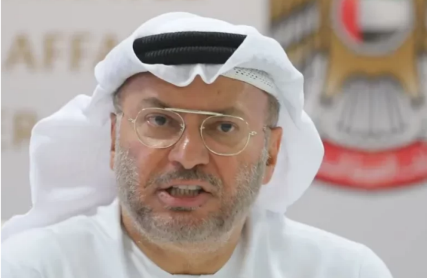 <strong>الدكتور أنور قرقاش</strong>