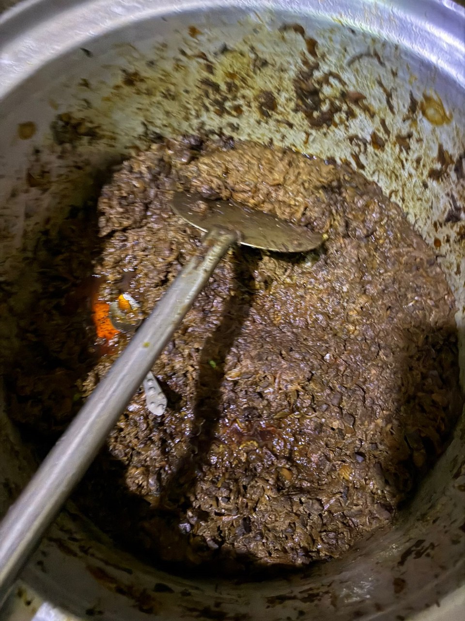 ضبط 132 رأس ماشية رؤوس ماشيه بتلو محظور ذبحها بالفيوم