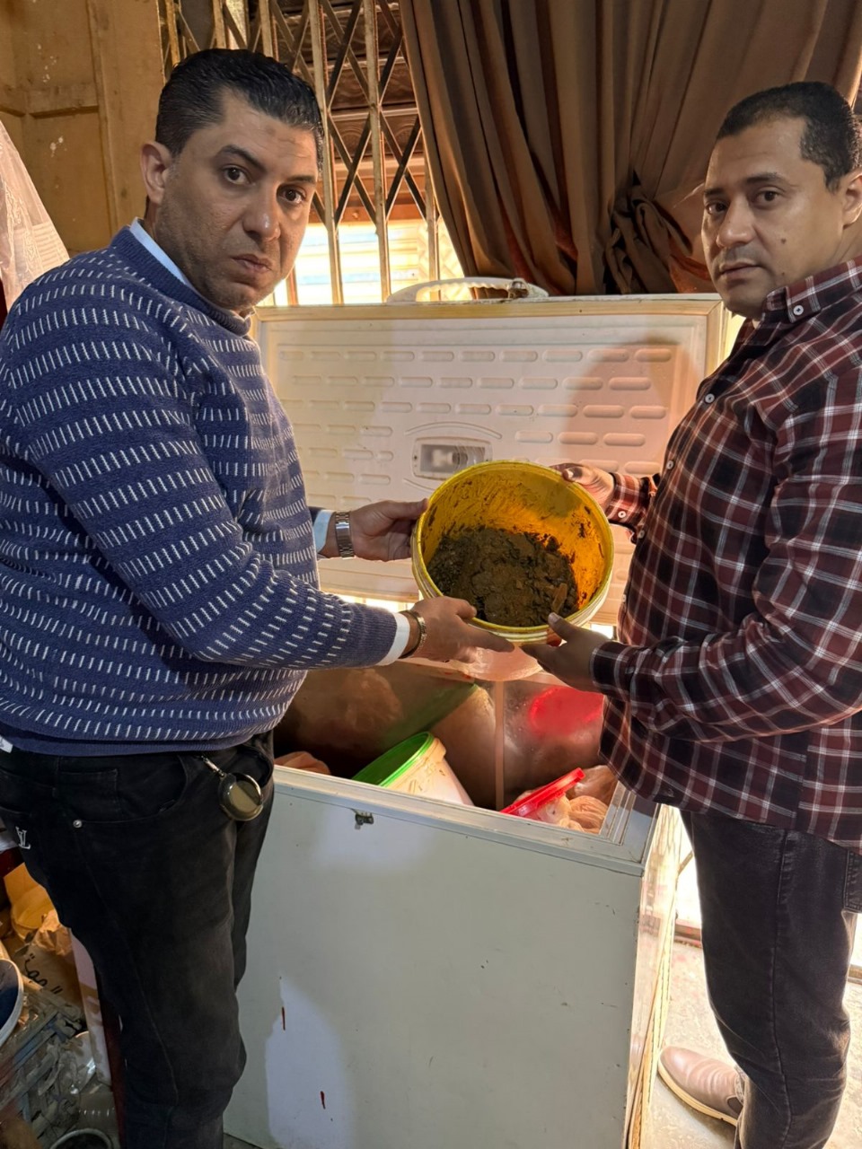 ضبط 132 رأس ماشية رؤوس ماشيه بتلو محظور ذبحها بالفيوم