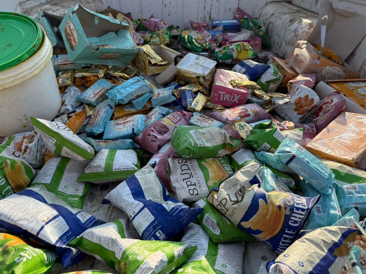 ضبط 132 رأس ماشية رؤوس ماشيه بتلو محظور ذبحها بالفيوم