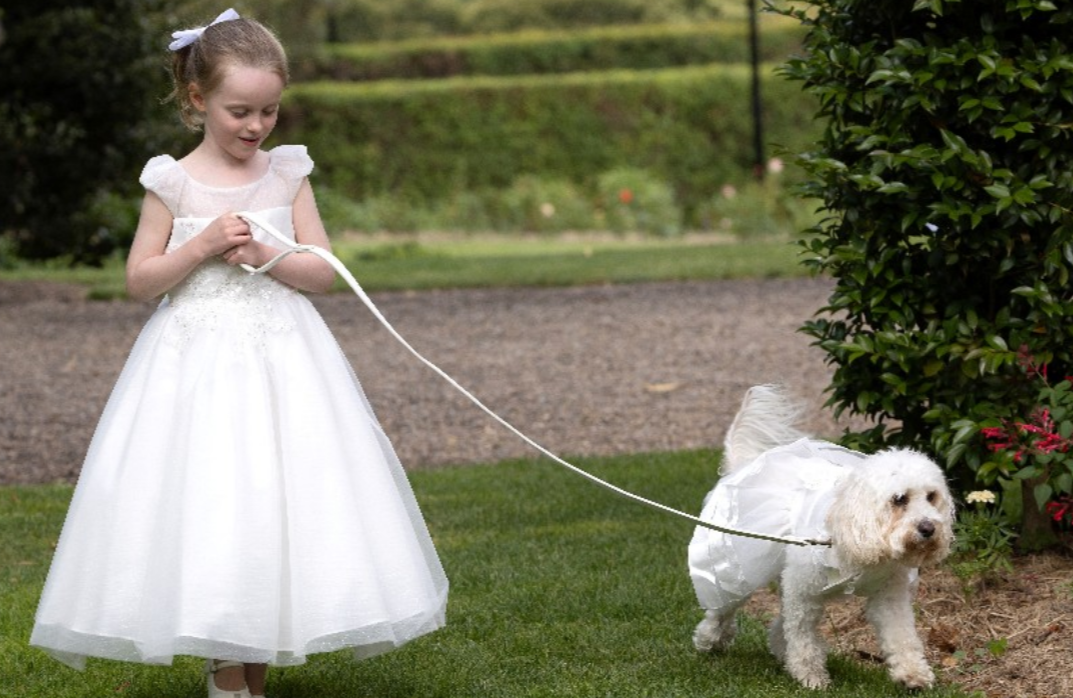 <strong>حفل زفاف أنتوني ألبانيز وجودي هايدون</strong>