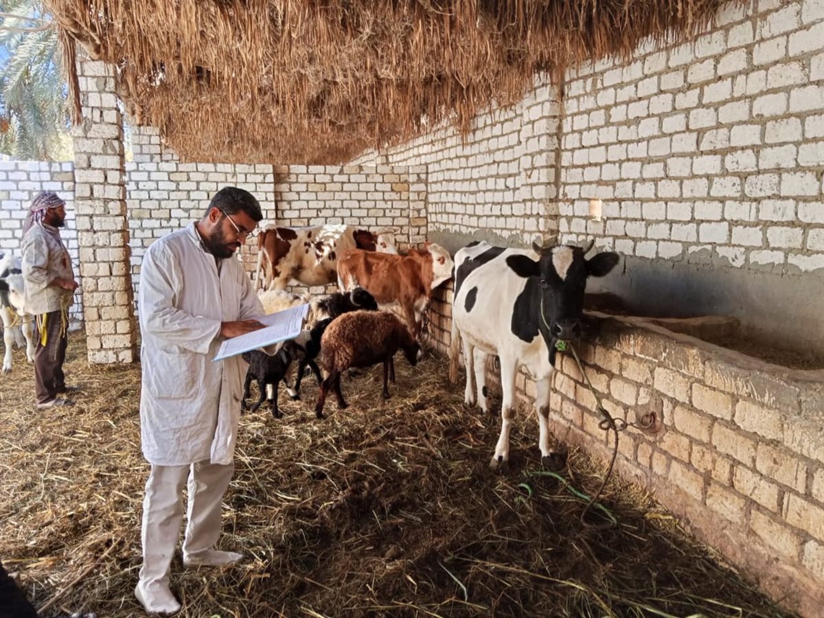 جانب من الحملة القومية