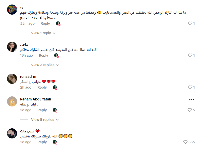 جانب من التعليقات على الفيديو