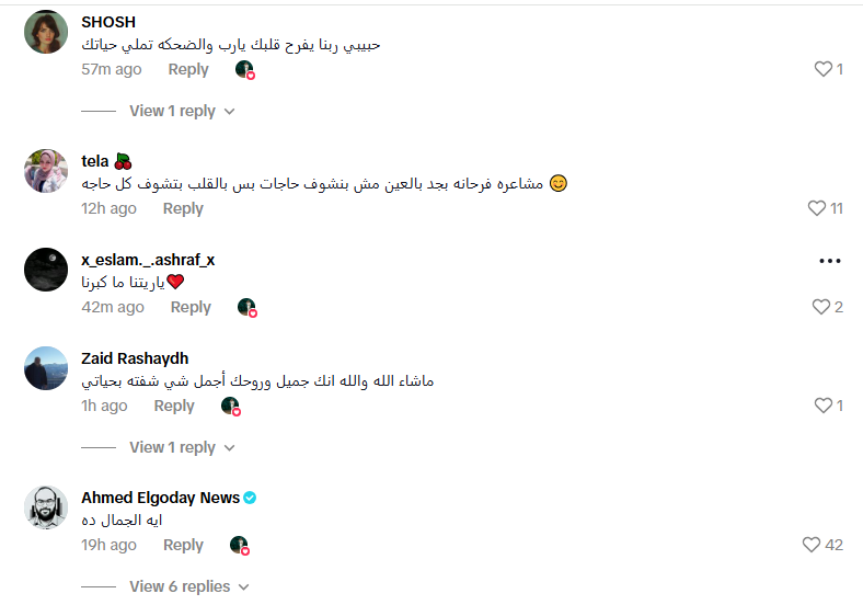 جانب من التعليقات على الفيديو