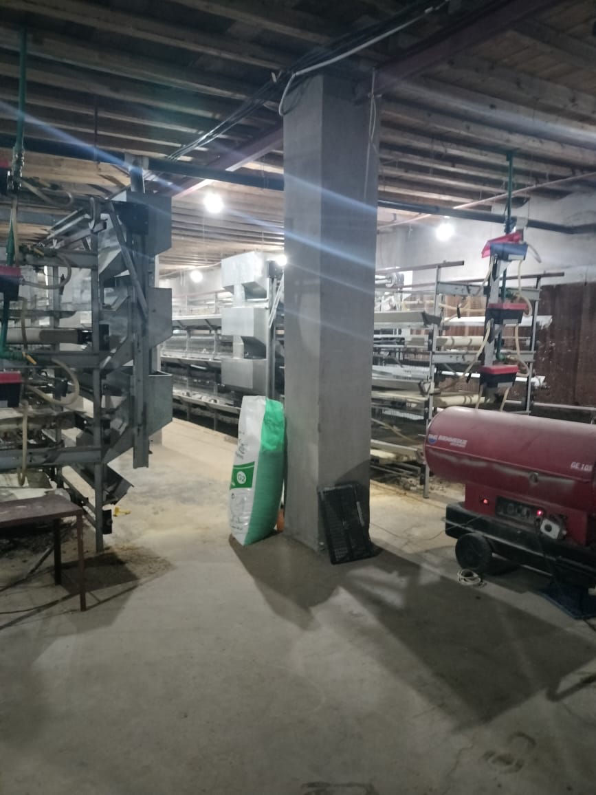 إدارة الإنتاج الحيواني بزراعة الفيوم تواصل أعمال المعاينات والتراخيص بمراكز المحافظة