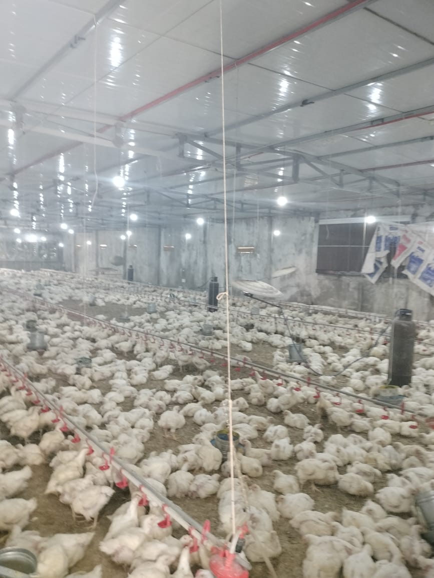 إدارة الإنتاج الحيواني بزراعة الفيوم تواصل أعمال المعاينات والتراخيص بمراكز المحافظة