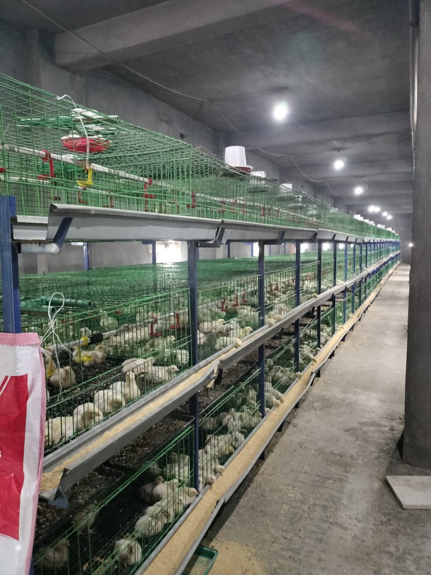 إدارة الإنتاج الحيواني بزراعة الفيوم تواصل أعمال المعاينات والتراخيص بمراكز المحافظة