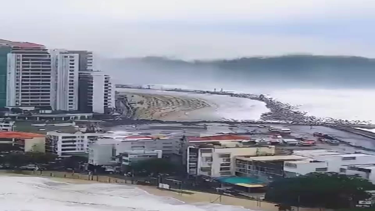 تسونامي اليابان