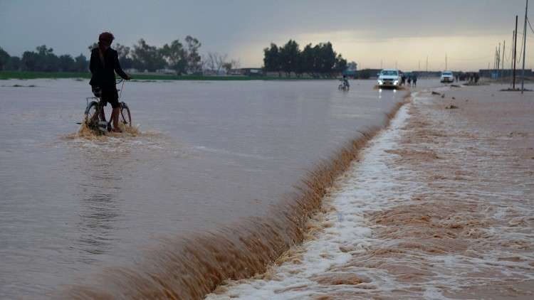 <strong>سيول العراق</strong>