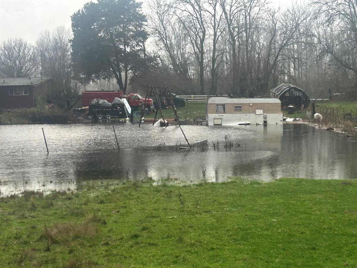 <strong>أمطار واشنطن</strong>