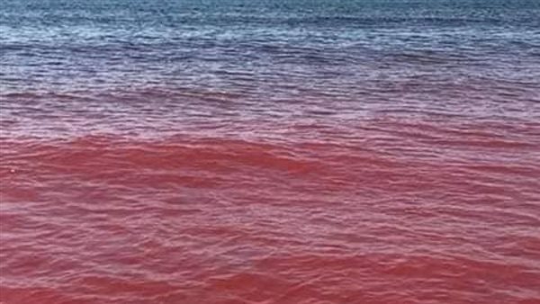 <strong>شاطئ هرمز</strong>