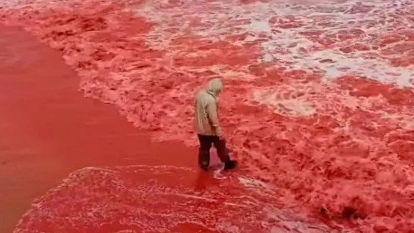 <strong>شاطئ هرمز</strong>