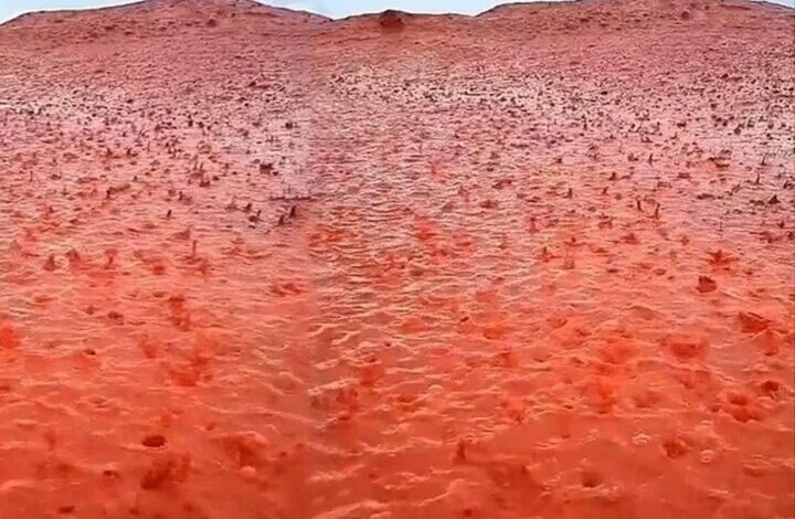 <strong>شاطئ هرمز</strong>