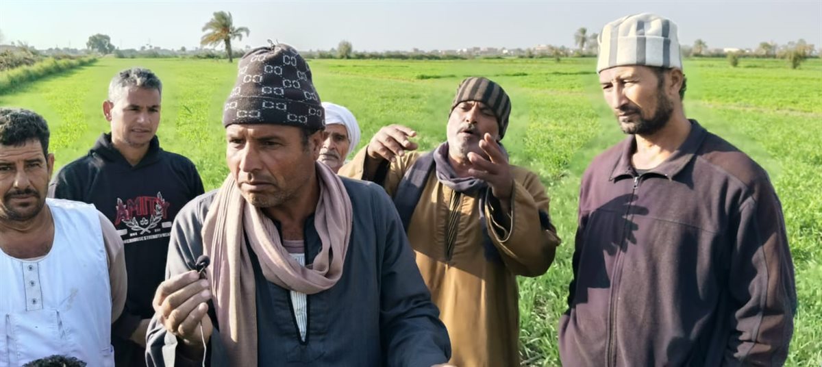 أهالي عزبة حفيظة هانم بالفيوم يستغيثون بوزير الأوقاف بعد زيادة إيجار الأرض من 13 ألفًا إلى 32 ألفًا