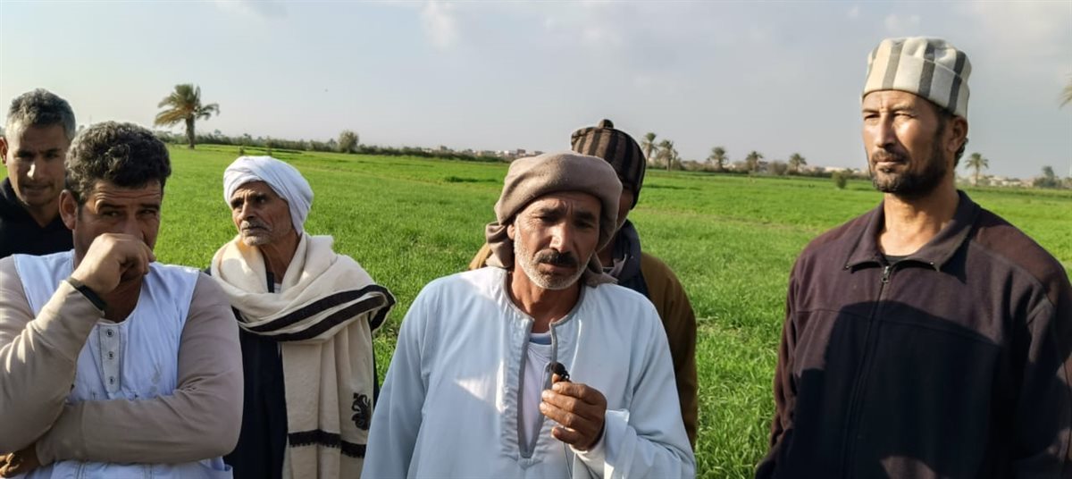 أهالي عزبة حفيظة هانم بالفيوم يستغيثون بوزير الأوقاف بعد زيادة إيجار الأرض من 13 ألفًا إلى 32 ألفًا