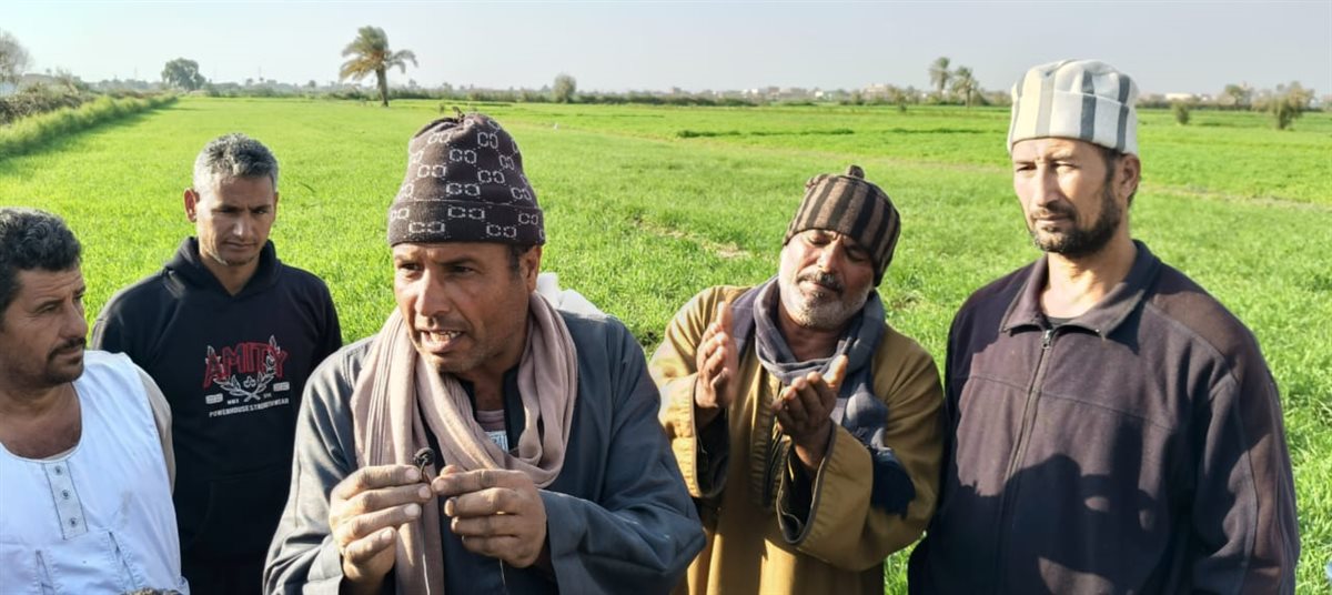 أهالي عزبة حفيظة هانم بالفيوم يستغيثون بوزير الأوقاف بعد زيادة إيجار الأرض من 13 ألفًا إلى 32 ألفًا