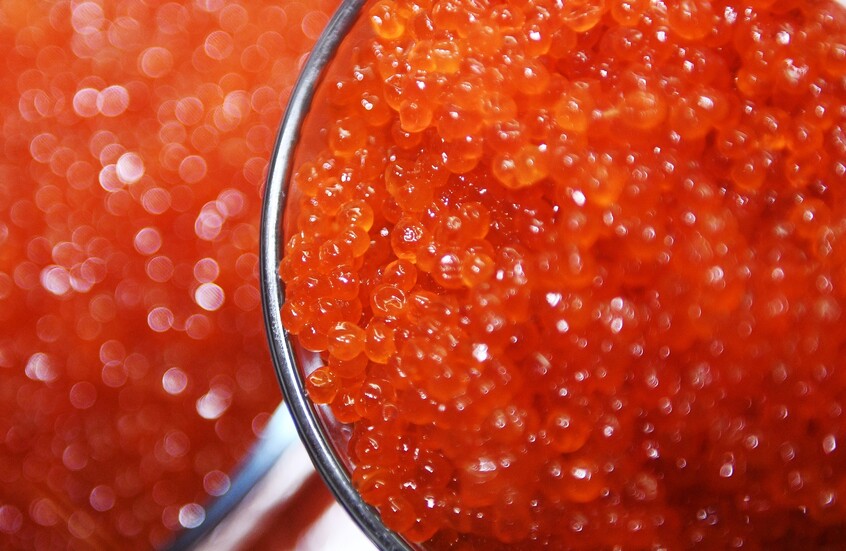 <strong>الكافيار</strong>