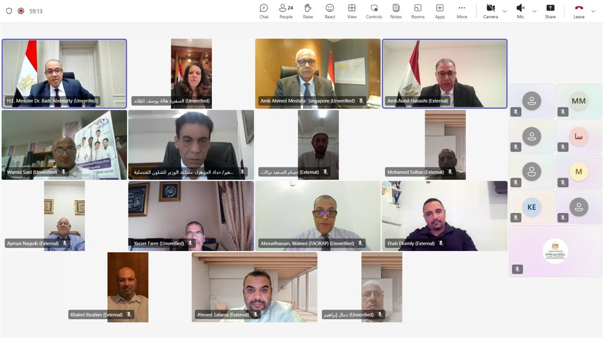 <strong>لقاء افتراضي لوزير الخارجية مع الجالية المصرية</strong>