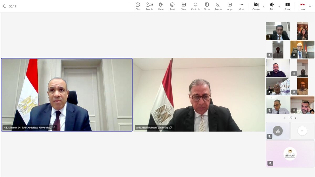 <strong>لقاء افتراضي لوزير الخارجية مع الجالية المصرية</strong>