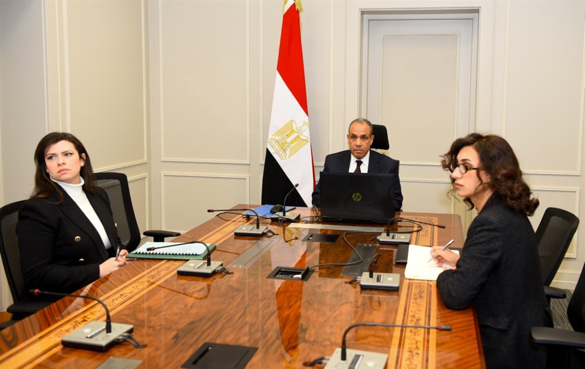 <strong>لقاء افتراضي لوزير الخارجية مع الجالية المصرية</strong>