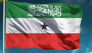 <strong>علم الصومال</strong>