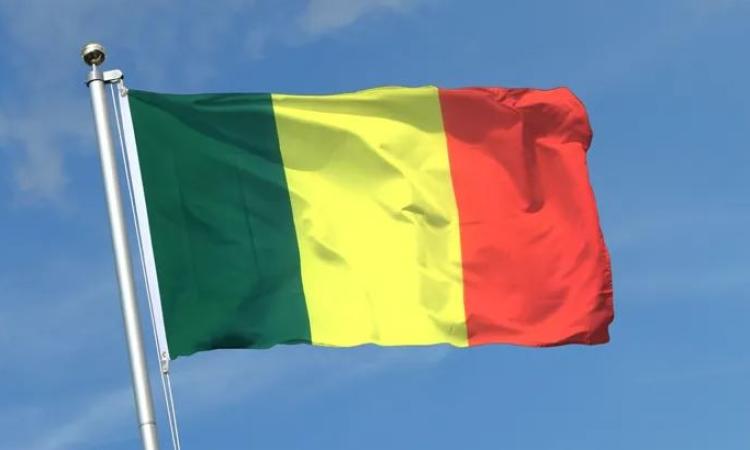 <strong>علم مالي</strong>