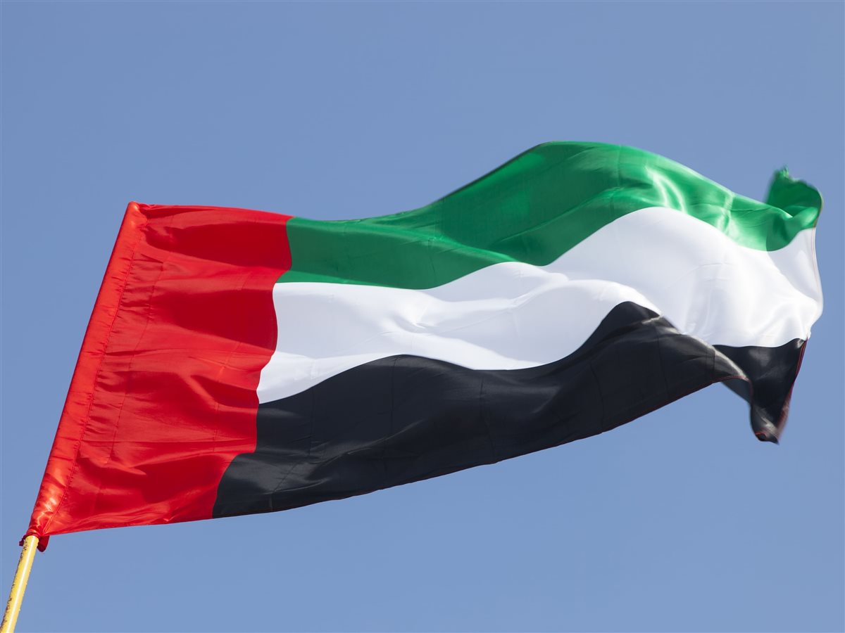 <strong>علم الإمارات</strong>