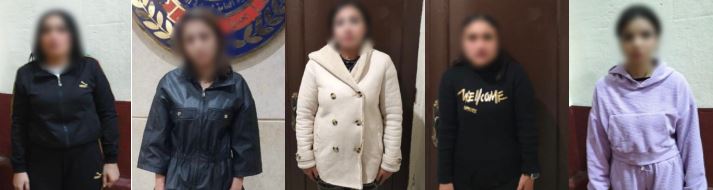 الشبكة النسائية