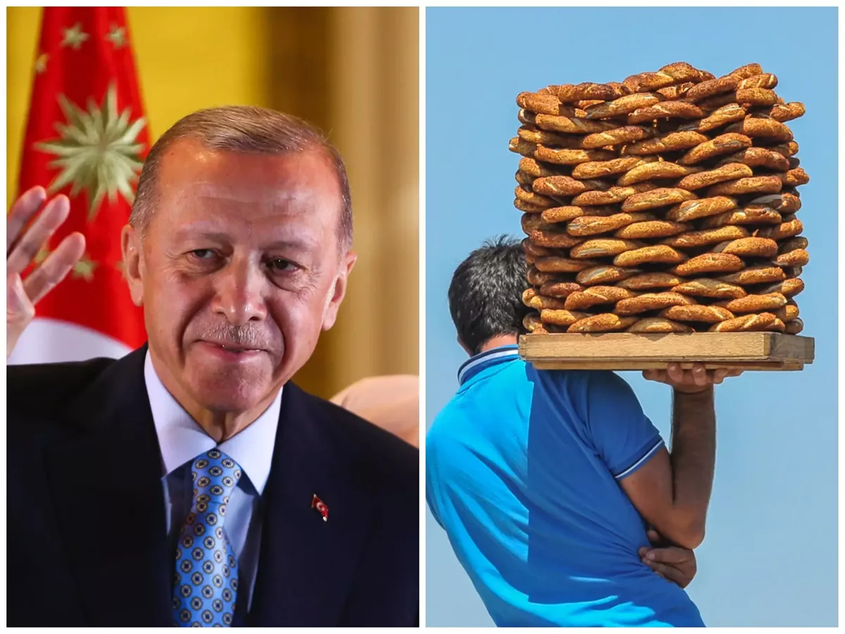 <strong>رجب طيب أردوغان</strong>
