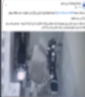 فيديو خناقة الكلاب بالقطامية