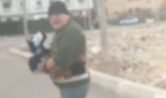 فيديو خناقة الكلاب بالقطامية