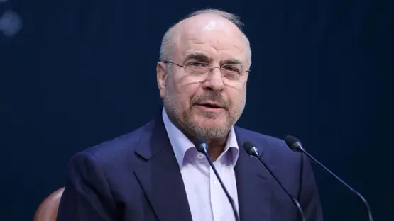 <strong>رئيس البرلمان الإيراني</strong>